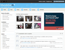 Tablet Screenshot of mundogatos.com